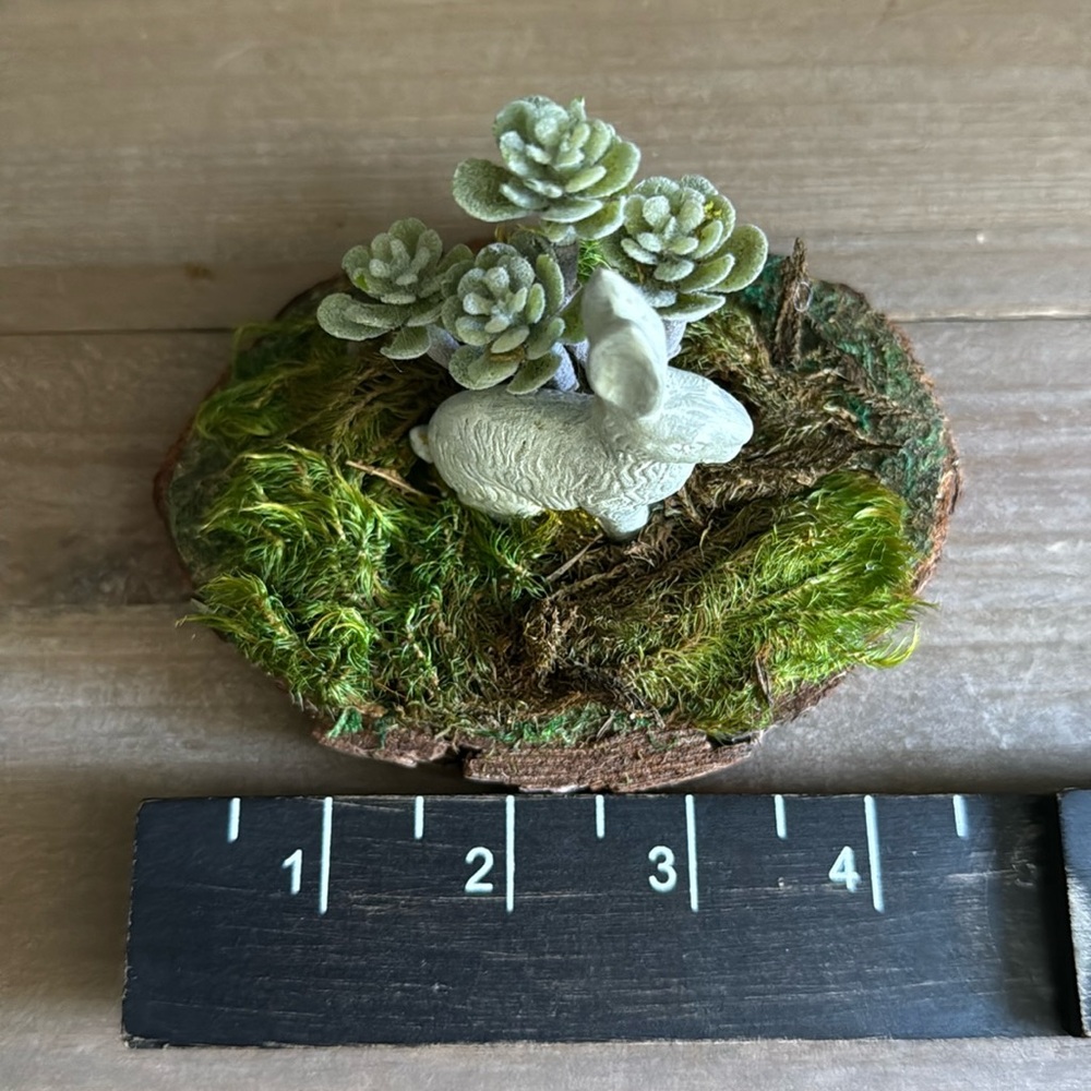 🐇 Easter/Spring Decor - Picture 7 of 9